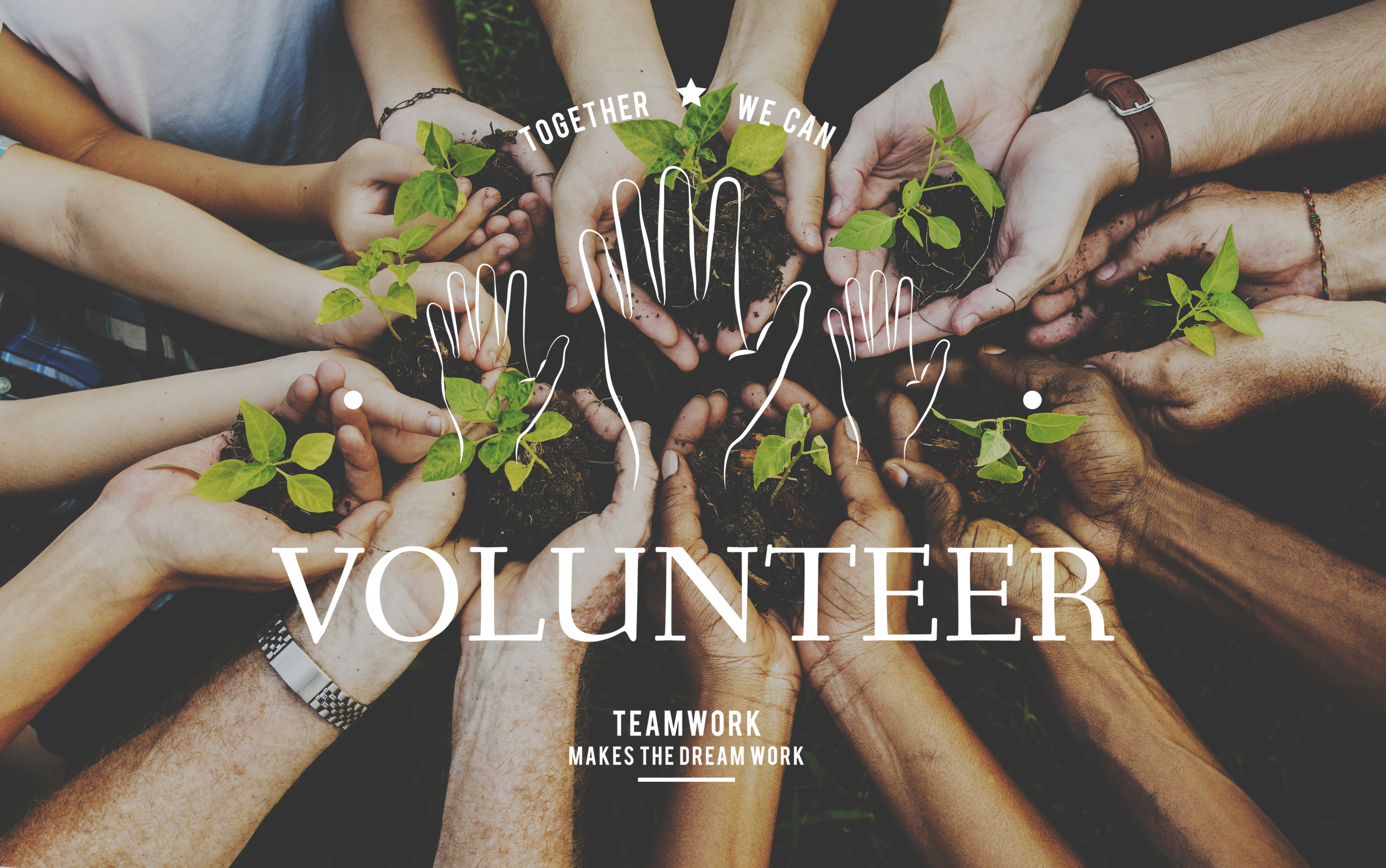 Volunteers in Action